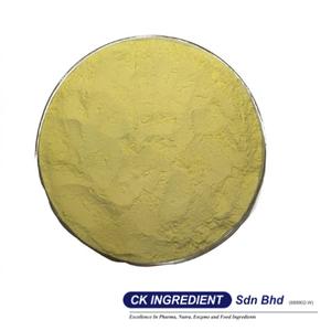 High Quality Sweet Corn Powder Halal OEM B2B <b>Best</b> Supplier Guarantee Top Sale Soup Beverage Flavoring Natural Food Ingredients - Product Image 3