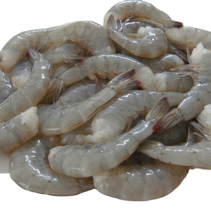 กุ้งแวนนาไม แบล็คไทเกอร์ และกุ้งแดงอาร์เจนตินา แช่แข็ง จำนวนมาก เลือกซีอิ๊กแช่แข็งแบบ IQF, HOSO, HLSO หรือกุ้งปอกเปลือกในหลายขนาด - Product Image 6