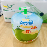 Thump Open Coconut - Vente en gros/OEM accepté, fabricant de boissons à base d'eau de coco biologique 100% pure de qualité supérieure en conserve