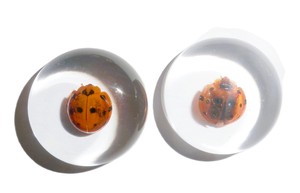 Cabochon en plastique rond de 25x25 mm avec spécimen réel de coccinelle, fond plat transparent, pour artisanat et fabrication de bijoux - Product Image 5