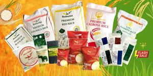 Riz égyptien Double poli Grain moyen Camolino Vietnam Sud Mékong Usine exportation en gros Mme Eira - Product Image 4