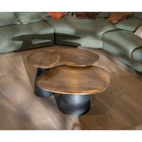 Vandana Silver Legacy Ensemble de 3 tables basses en bois et métal, en forme de galets naturels Daun