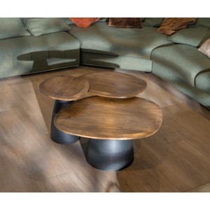 Vandana Silver Legacy Juego de 3 mesas de centro de madera y metal, con forma de guijarros naturales Daun - Product Image 2