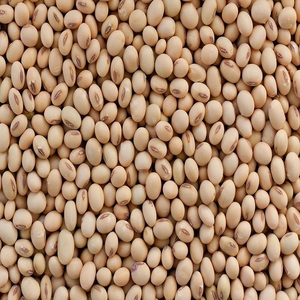Protein Harvest Dried <b>Soybeans</b> for Food Production with Rich Nutrition Natural Flavor and High Quality Farm Output - Product Image 1