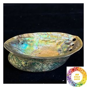 Natural Abalone <b>Shell</b> for Home Decoration Table Display Interior Decor Coastal Style <b>Ornament</b> and Creative Arrangement - Product Image 3