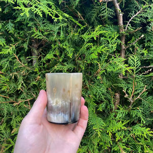 Viking Style Horn Drinking <b>Glass</b> - Product Image 1