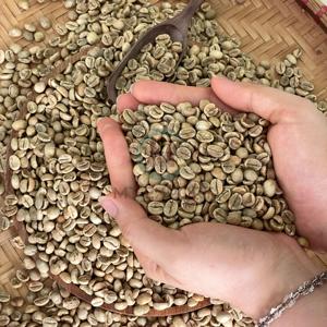 Grains de café vert cru, amertume naturelle, origine Grains verts Grade A+, sac PP 60 kg, sacs en jute, faible taux de défauts, directement de la ferme du Vietnam - Product Image 4