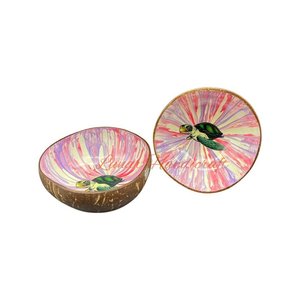 Haute qualité mélange couleur laque noix de coco coquille bol moderne Antique Style fête assiette cuillère prix raisonnable pour personnalisé chaud - Product Image 4