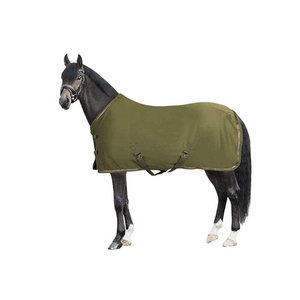 Horse Winter <b>Rug</b> Olive Green Nylon Waterproof All Weather Protection - Product Image 1