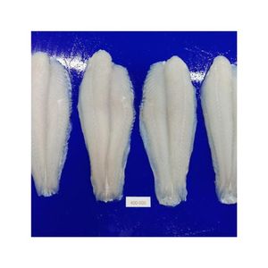 2026 Expédition rapide Filets de poisson-chat/poisson-roux IQF Congelés Grade 1,5 kg Emballage en vrac Eau propre Sûr Frais Vente en gros Approvisionnement à l'exportation - Product Image 2