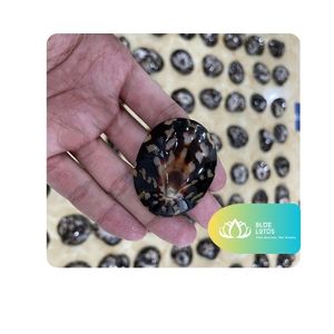 [VENTA CALIENTE] Paquete de Conchas de Limpet Enteras Modernas y Ecológicas para Decoración de Fiestas en la Playa, Manualidades, Venta al por Mayor, Exportación, Suministro, Vietnam - Product Image 1