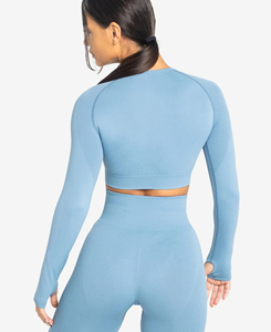 XL Size Women's Light <b>Blue</b> Long Sleeve <b>Crop</b> <b>Top</b> Solid Color Mesh Panel Seamless Yoga <b>Top</b> Breathable Skinny Fit Workout Wear - Product Image 1