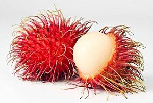 Rambutan Enlatado Premium de Vietnam – Sabor Dulce Natural, Fresco, Dulce y de Alta Calidad // Mr.Tom - Product Image 2