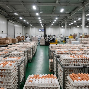 Huevos de Gallina Blancos y Marrones, Huevos de Mesa, Paquete de Cartón de 30 Unidades - Product Image 4