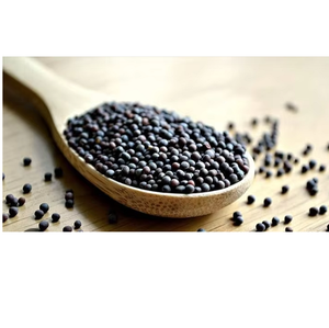 Semillas de Mostaza de Calidad de Exportación, Ingrediente Natural Premium para Cocina, Procesamiento de Alimentos y Suministro Comercial - Product Image 2