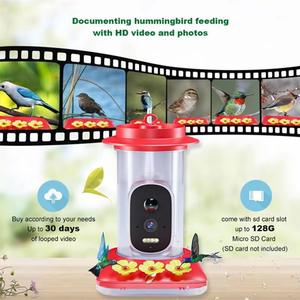 Caméra de mangeoire à oiseaux avec IA, vision nocturne couleur, détection infrarouge PIR, extérieur - Product Image 6