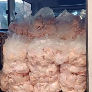 Pechuga de Pollo Halal Congelada Premium, Sin Hueso ni Piel, Carne de Aves de Corral Criada en Granja, Procesamiento Higiénico, Suministro para el Mercado de Exportación - Product Image 2