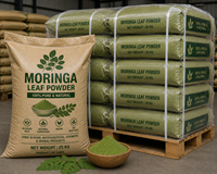 Bubuk Daun Moringa Organik Murni 100% Private Label, Grade Makanan, Premium, Tersedia dalam Kemasan 1kg, Supplier Grosir