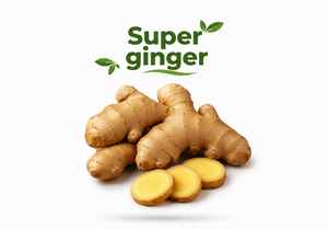 Premium Super <b>Ginger</b> <b>Fresh</b> Root Export Quality Natural Spice for Food Beverage and Wholesale Supply - Product Image 3