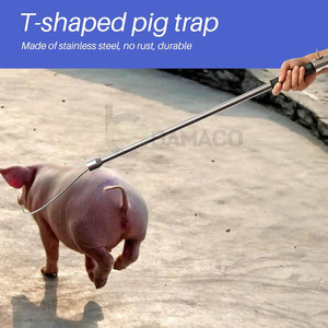 ที่จับหมูแบบมีด้ามจับ ผลิตในปากีสถาน ขายดี คุณภาพพรีเมียม ทำจากสแตนเลสสตีล พร้อมด้ามจับ - Product Image 5