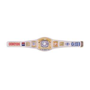 Ceinture de championnat réplique Spinner Tour de Los Angeles 2025 – Tournée d'adieu de John Cena - Product Image 2