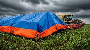 Bâche en HDPE bleue 80 GSM – Protection temporaire et commerciale - Product Image 4