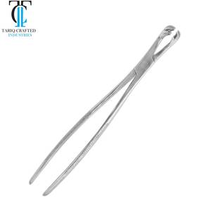 Nuevos instrumentos de extracción dental equina, fórceps para dientes de caballo de TARIQ CRAFTED INDUSTRIES - Product Image 1