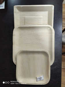Plats de riz carrés biodégradables jetables en feuille de palmier Areca utilisables en une seule fois Assiettes écologiques pour le service alimentaire pour les mariages - Product Image 2
