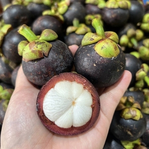 Mangosteen fresco | 100% Fruta orgánica al por mayor de Vietnam | El mejor precio y alta calidad - Product Image 2