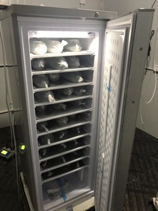 Machine à glaçons commerciale à énergie solaire 7/11 couches, 24 heures, 65-70 kg, 220 V, 198 L, congélateur vertical, machine à glaçons commerciale - Product Image 6