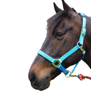 Licol en cuir de polo argentin traditionnel de qualité supérieure, cousu main, avec fil ciré et ferrures en laiton robustes réglables - Product Image 2