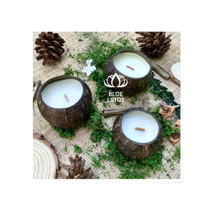 Très demandé : Bougie en coque de noix de coco sûre et propre, 2026, en cire de soja végétale pure, idéale pour l'aromathérapie domestique et la parfumerie d'ambiance, vente directe - Product Image 1