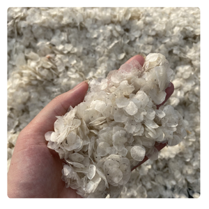 ESCALA DE PESCADO DE TILAPIA SECA FABRICACIÓN DE COLÁGENO DE GELATINA PRODUCCIÓN AL POR MAYOR PRECIO BARATO EN EL MERCADO - Product Image 2