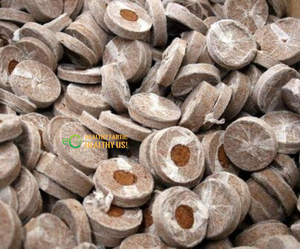 ECO2GO VIET NAM ECO2GO COIR PEAT PELLETS-100% Natural Coconut Coir for Seed Starting <b>Plant</b> Propagation Home & Garden Use - Product Image 4