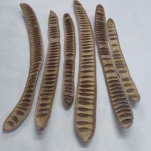 ผลไม้แห้งเดโลนิกซ์เรจียคุณภาพสูง ขายดี เป็นมิตรกับสิ่งแวดล้อม ใช้ได้ทั้งภายในและภายนอกอาคาร สำหรับตกแต่งกระถางต้นไม้ - Product Image 1