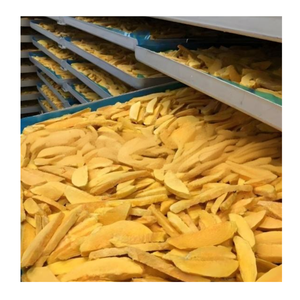 Mango Liofilizado para Venta al por Mayor, Snack de Fruta Crujiente y Ligero, Ideal para Venta en Línea y Supermercados - Product Image 3