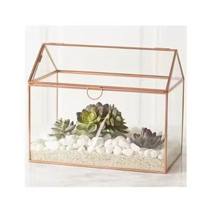 Terrarium de table en métal et verre, élégant présentoir pour plantes d'intérieur, pièce d'accentuation décorative pour la maison - Product Image 3