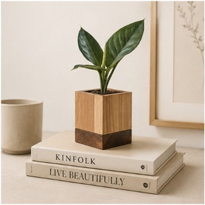 Modern Minimalist Dual-Tone Wooden Cube Planter Handcrafted Walnut & Pine Wood Flower <b>Pot</b> for Office Desk Succulent <b>Holder</b> - Product Image 4