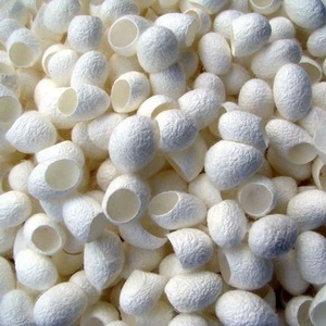 Cocon de Soie Entier Biologique Biodégradable pour Soin Nettoyant du Visage - Naturel Écologique Séchage Rapide 1/3 Coupé - Product Image 1
