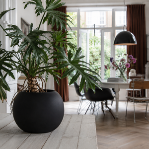 Maceta Negra en Forma de Bola para Jardín, Maceta Baja de Fibra de Vidrio Lisa para Uso en Interiores y Balcones, D45 x H34cm - Product Image 2