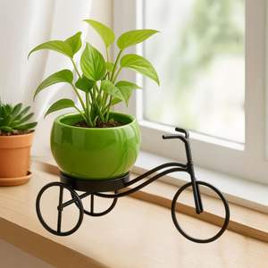 Support de plante en métal en forme de cycle, support décoratif en fer pour vase à fleurs, support élégant pour pot de fleurs pour une utilisation en intérieur et en extérieur - Product Image 1