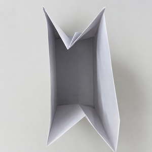 Eco-Friendly <b>Biodegradable</b> Air Sickness Bag Twisted Handles Kraft <b>Paper</b> Self Adhesive Seal Offset Printing Luxury Design - Product Image 3
