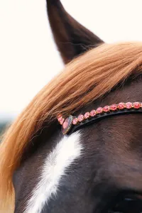บังเหียนม้าหนังพรีเมียมแบบปรับได้ สวมใส่สบาย อุปกรณ์ขี่ม้าขายส่ง - Product Image 2