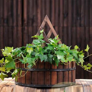 Support mural en bois de style ferme pour plantes suspendues, étagère à plantes murale, jardin vertical, décoration murale intérieure, fabriqué au Vietnam - Product Image 4