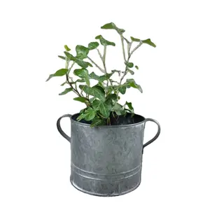 热销农舍镀锌金属花盆，用于家庭和花园制造商和供应商园丁用品
