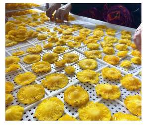 Ananas séché doux de qualité supérieure du Vietnam, saveur naturellement sucrée, ananas séché doux pour le marché d'exportation, emballage flexible en vrac - Product Image 2