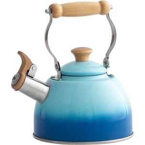 Bollitore da tè in acciaio inossidabile con manico ergonomico Cool Touch, teiera a fischio per piano cottura, per uso alimentare - Product Image 1