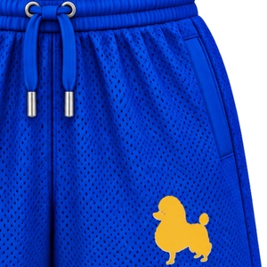 Shorts en maille personnalisés avec lettres grecques Sigma Gamma Rho pour femmes, vêtements de sororité, vêtements de sport légers et respirants, shorts de sport pour la salle de sport et la remise en forme - Product Image 6