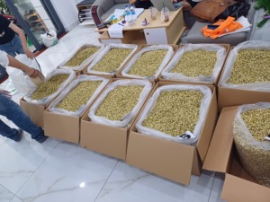 กลีบดอกมะลิแห้งสำหรับทำเทียน DIY เทียนหอมตกแต่ง วัสดุพฤกษศาสตร์ธรรมชาติ ขายส่งจำนวนมาก คุณภาพพรีเมียม - Product Image 6