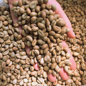 เมล็ดกาแฟอาราบิก้าสีเขียวพิเศษ ขนาด 18 คุณภาพสูง ส่งออกจากเวียดนาม ปริมาณสิ่งแปลกปลอม 0.1% ความชื้นสูงสุด 12.5% - Product Image 1